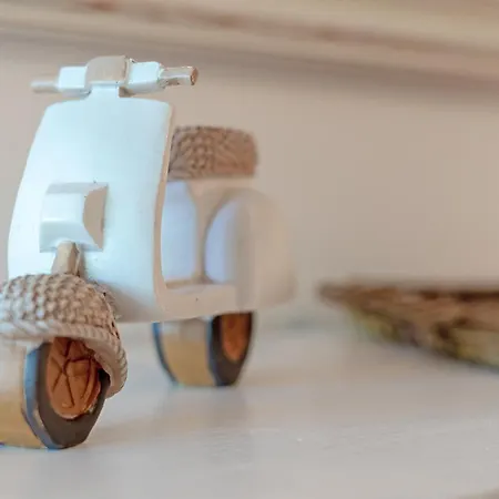 Hang 15 Rosis Jolle שרבאוץ