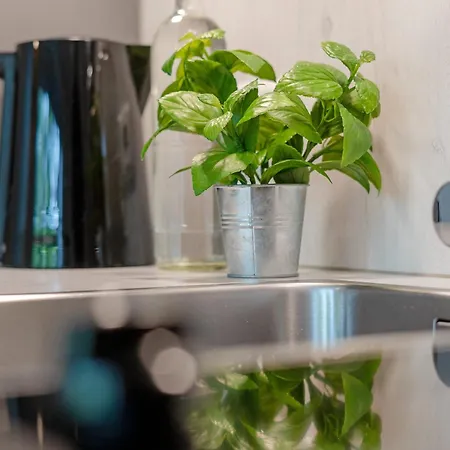 Hang 15 Rosis Jolle Apartament